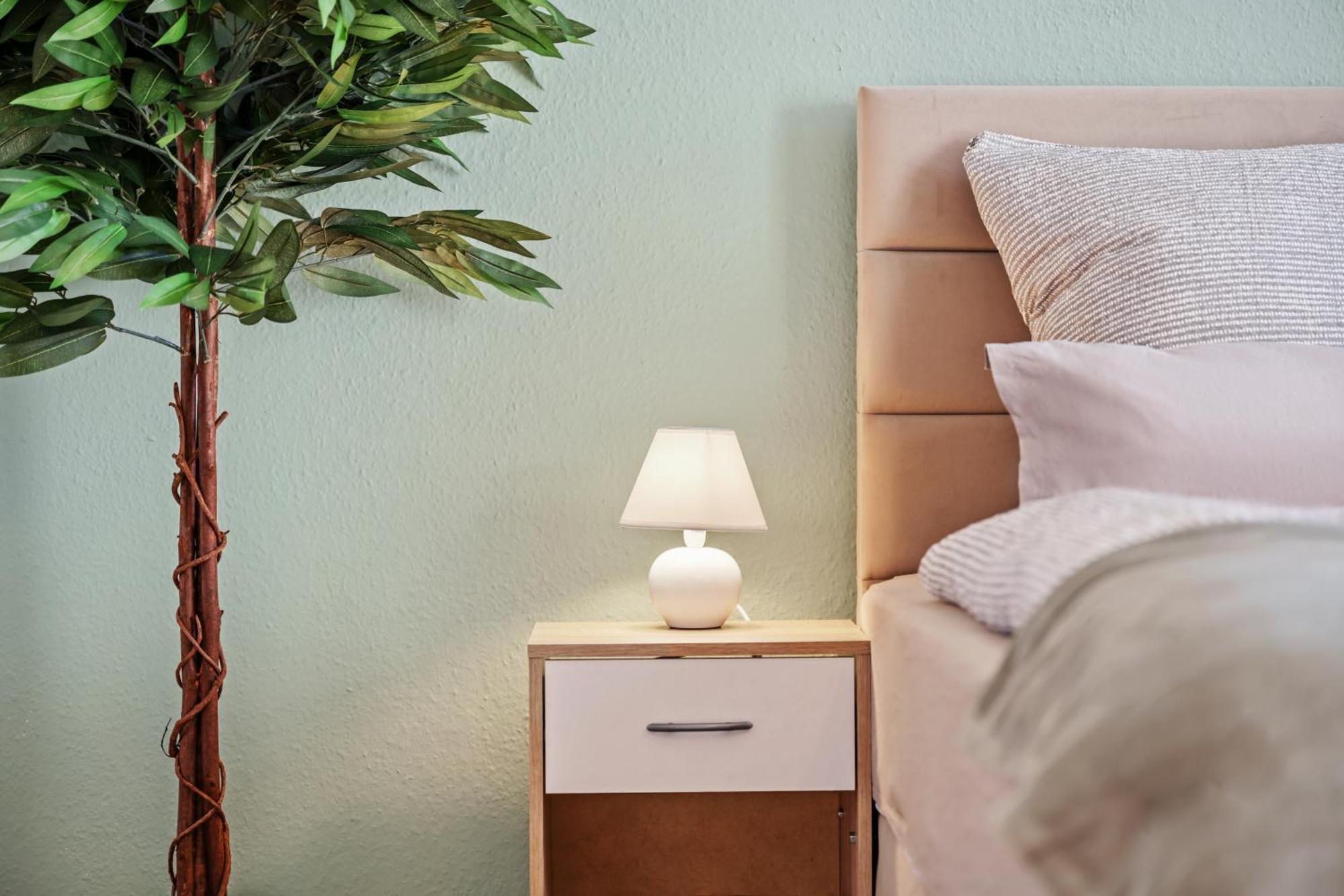 Neu Meissen Altstadt Familyoase Wlan Netflix Magenta Disney Exteriör bild
